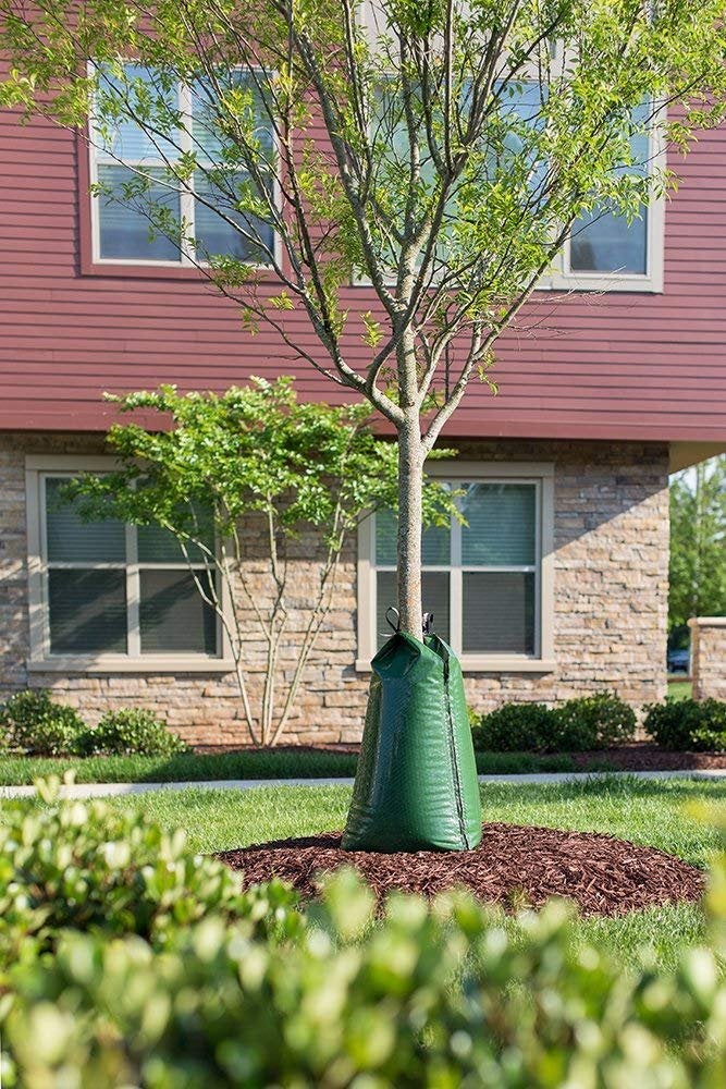 treegator 2 Pack - Treegator Original Slow Release Watering Bag for Trees - Image 1